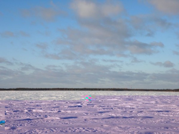 rekyva_2011.11.10_ _.jpg