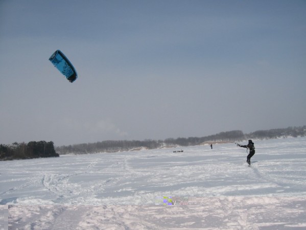 IMG_2156.jpg