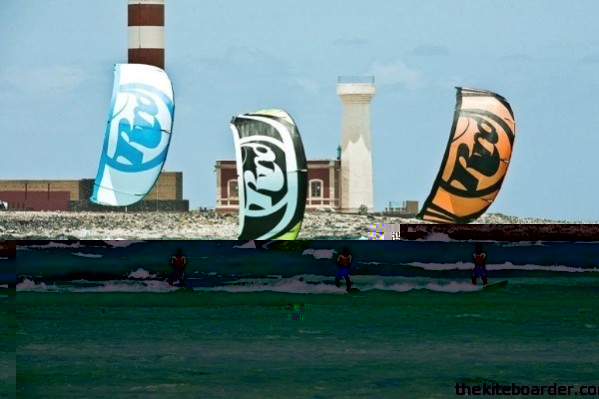 KITES_5-600x400[1].jpg