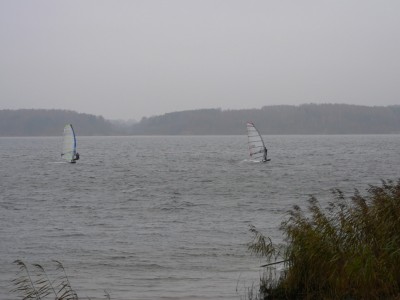 P1050466.JPG