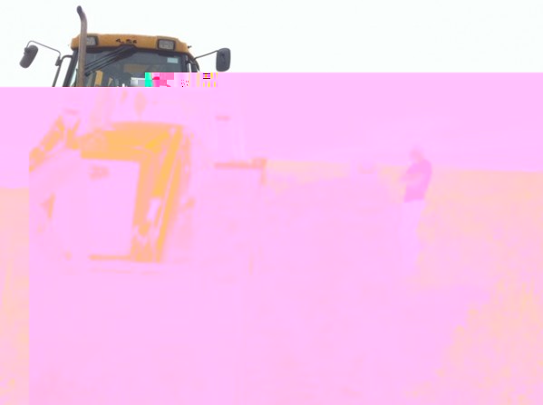 aaaa.jpg