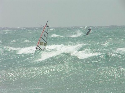 Resize of PICT0098.JPG