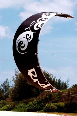 Resize of 2JPEG of1.jpg