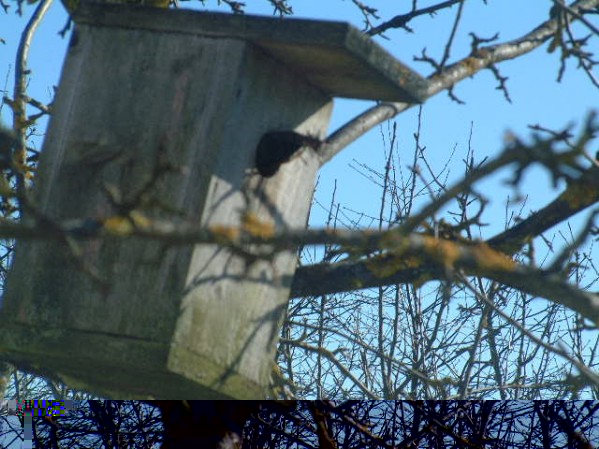 DSCF0556.JPG (67.88 KiB) Peržiūrėta 3243 kartus(ų) DSCF0556.JPG
