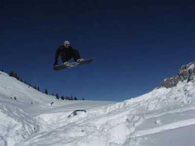 Andr_50-50backgrab.gif