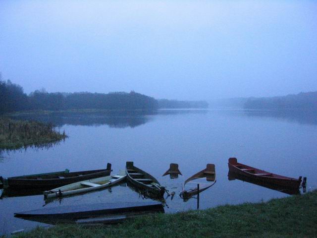 8.JPG