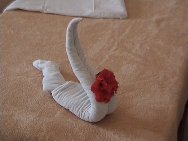 DSC01450.JPG