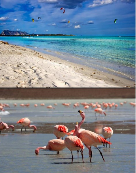 Sardegna šiandien.JPG