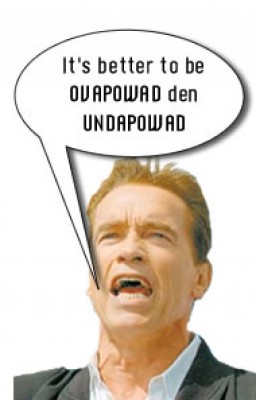 ovapowad.jpg (12.33 KiB) Peržiūrėta 9960 kartus(ų) ovapowad.jpg