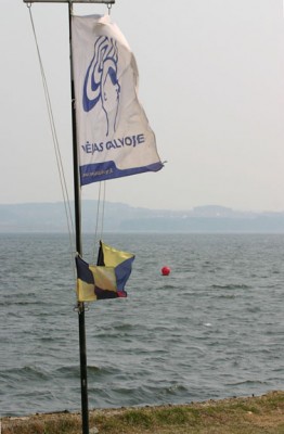 IMG_1985.jpg