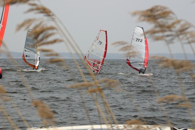 IMG_4778m.jpg