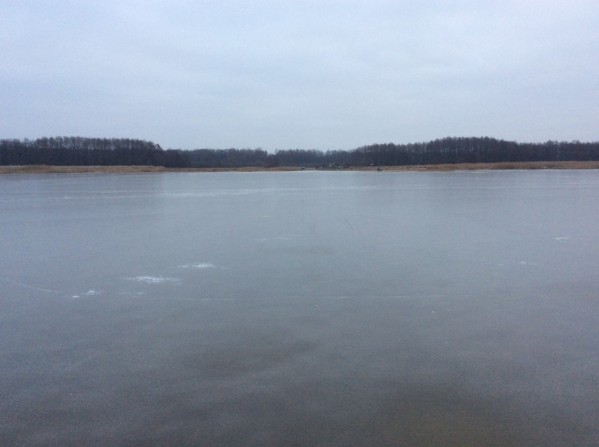 image.jpg (167.7 KiB) Peržiūrėta 477616 kartus(ų) image.jpg