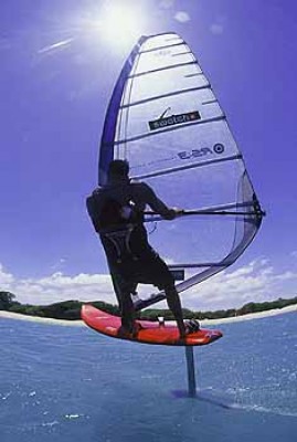 small_windsurf_action1.jpeg