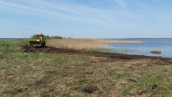 Rekyvos spoto pakrantes tvarkymas (4).jpg