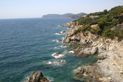 IMG_6003m.jpg