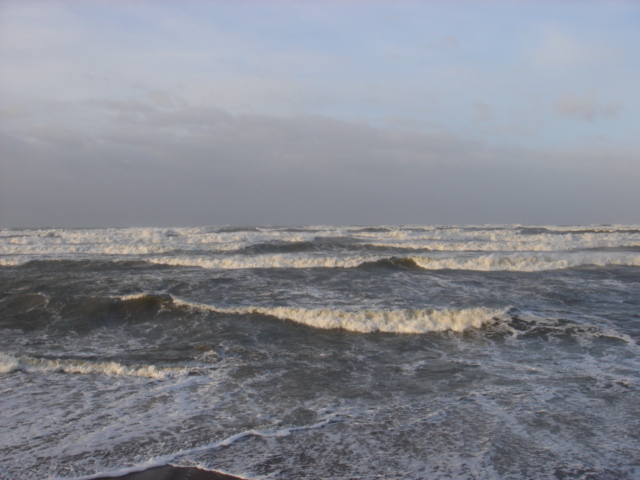 DSC00336.JPG