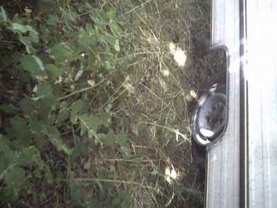 tr_0013.jpg