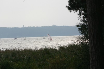 IMG_6440m.jpg