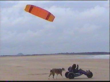 kitebuggy2.JPG