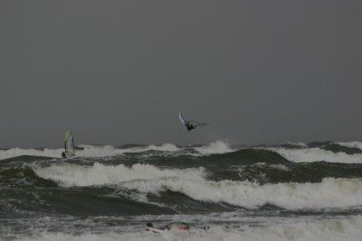 IMG_6579m.jpg