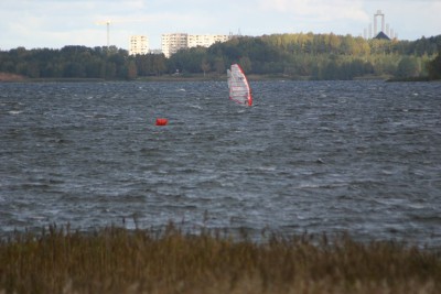 IMG_6606m.jpg
