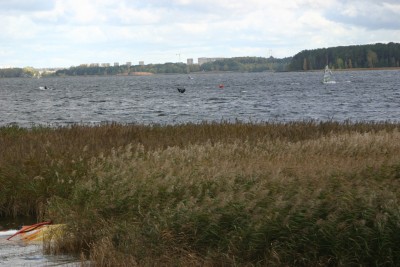 IMG_6602m.jpg