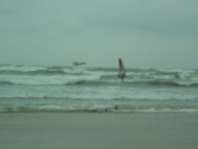 DSC06133.JPG