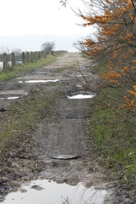 CRW_2735.jpg