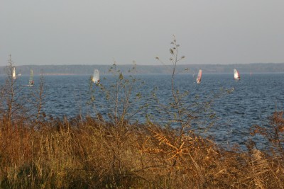 IMG_6686m.jpg
