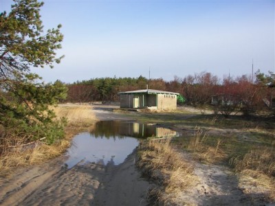 100_4565.jpg
